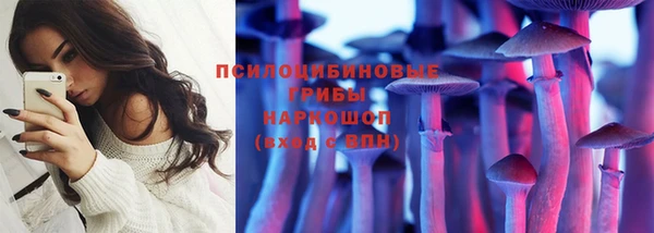 амф Гусев