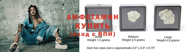 амф Гусев