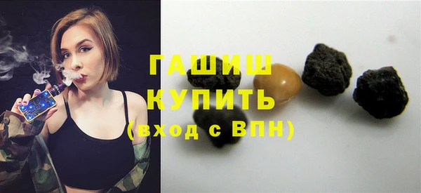 амф Гусев