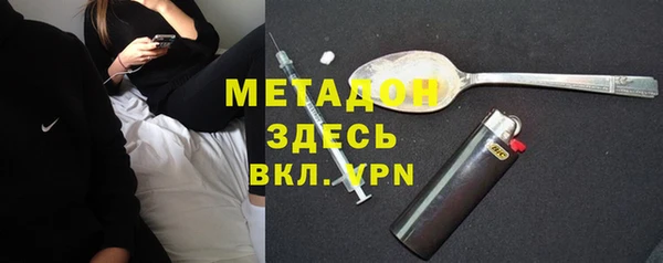 амф Гусев