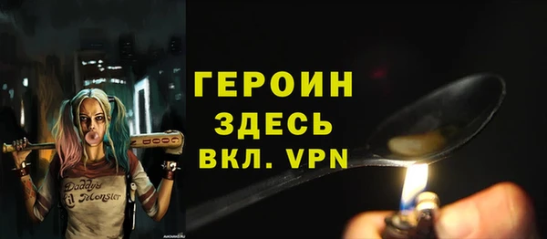 амф Гусев