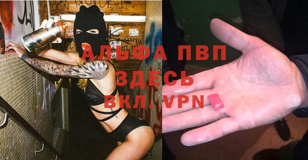 амф Гусев