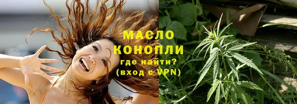 амф Гусев