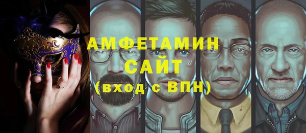 амф Гусев